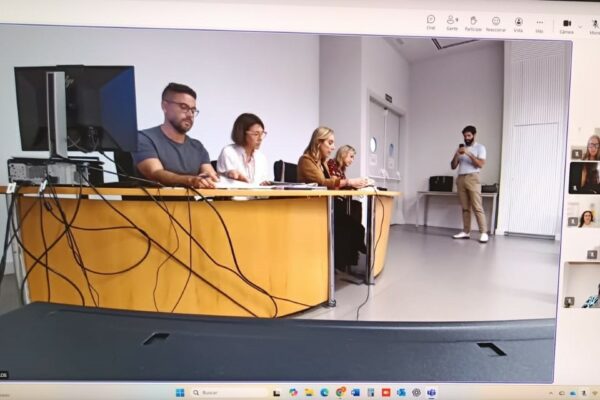 PLENO DEL CONSEJO VALENCIANO DE LAS MUJERES. PLENO CONSELL VALENCIÀ DE LES DONES.